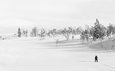 mt-0447-photographer-gallery-img-1.jpg